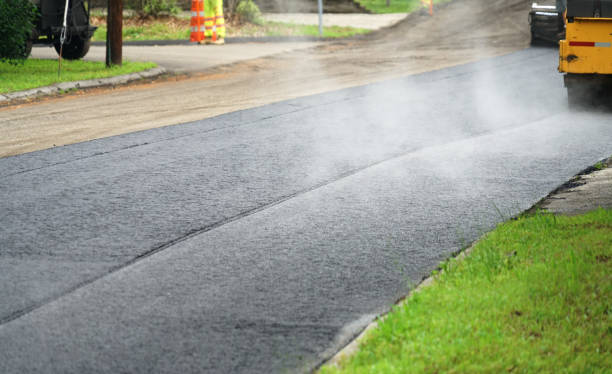 Best Custom Driveway Pavers  in Mount Pleasant, TX